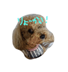 ココの挨拶♪（個別スタンプ：8）