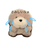 ちゅんと（個別スタンプ：24）
