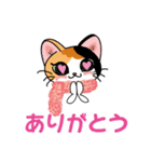 三毛猫ちゃん！ 冬バージョン♪（個別スタンプ：8）