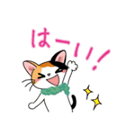 三毛猫ちゃん！ 冬バージョン♪（個別スタンプ：11）