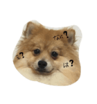 jack pome.（個別スタンプ：3）