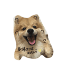 jack pome.（個別スタンプ：8）