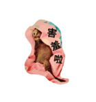 Jaslene's Diamond cat（個別スタンプ：6）