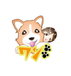 CHIAKIのお部屋（個別スタンプ：11）