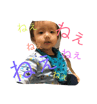 kana.2nd（個別スタンプ：2）