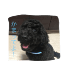 MOKAthan（個別スタンプ：2）