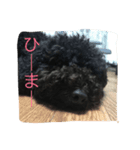 MOKAthan（個別スタンプ：4）