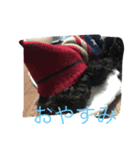 MOKAthan（個別スタンプ：5）