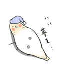 謙虚なインコくんスタンプ（個別スタンプ：2）