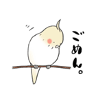 謙虚なインコくんスタンプ（個別スタンプ：3）