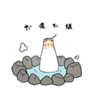 謙虚なインコくんスタンプ（個別スタンプ：8）