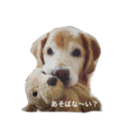 Betty＆Vivi（個別スタンプ：4）