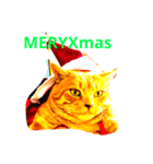 MERY Xmas Happy CAT（個別スタンプ：1）