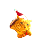 MERY Xmas Happy CAT（個別スタンプ：2）