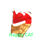 MERY Xmas Happy CAT（個別スタンプ：8）