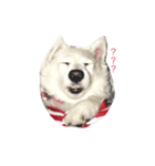 Fox Dog Dog（個別スタンプ：3）