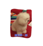 very lovely（個別スタンプ：2）