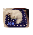 very lovely（個別スタンプ：6）