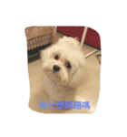 very lovely（個別スタンプ：11）