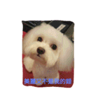 very lovely（個別スタンプ：14）
