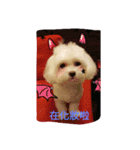 very lovely（個別スタンプ：19）