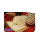 very lovely（個別スタンプ：20）