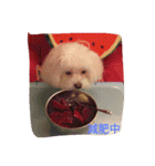 very lovely（個別スタンプ：23）