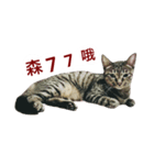 shlulu's daily（個別スタンプ：14）