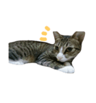 BAD BAN2（個別スタンプ：1）