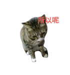 BAD BAN2（個別スタンプ：4）