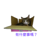 BAD BAN2（個別スタンプ：6）