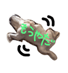 BOSSTAMP（個別スタンプ：2）