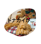 ゆうまさんの日常 Vol.2（個別スタンプ：4）