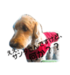 ゆうまさんの日常 Vol.2（個別スタンプ：9）