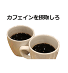 実写！コーヒー2（個別スタンプ：4）