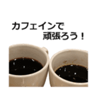 実写！コーヒー2（個別スタンプ：6）