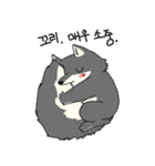 Wolf's daily life（個別スタンプ：19）