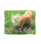 癒しのkuu-riku（個別スタンプ：3）