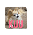 癒しのkuu-riku（個別スタンプ：4）