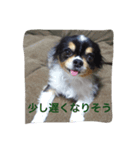 癒しのkuu-riku（個別スタンプ：7）