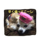 癒しのkuu-riku（個別スタンプ：8）
