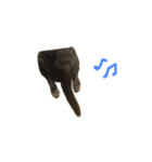 Regal stumble（個別スタンプ：6）