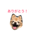 リンラム日記（個別スタンプ：7）