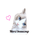 CAT LUNA（個別スタンプ：6）