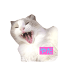 CAT LUNA（個別スタンプ：12）