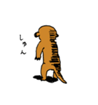 キンカジューと宇宙の子（個別スタンプ：36）