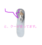 くーちゃんスタンプ2（個別スタンプ：10）