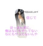 くーちゃんスタンプ2（個別スタンプ：21）