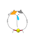 ミケ太郎（個別スタンプ：4）