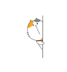 ミケ太郎（個別スタンプ：9）